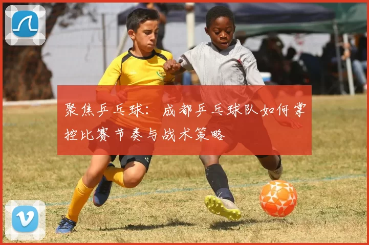 聚焦乒乓球：成都乒乓球队如何掌控比赛节奏与战术策略