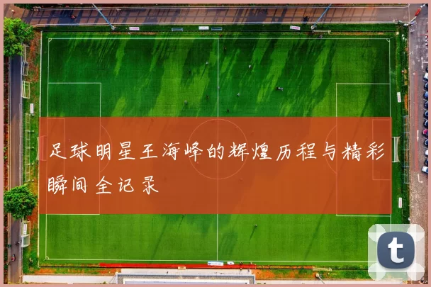 足球明星王海峰的辉煌历程与精彩瞬间全记录