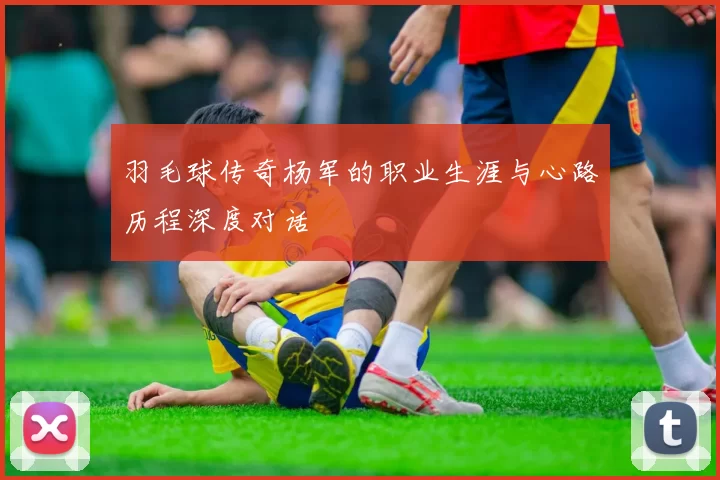 羽毛球传奇杨军的职业生涯与心路历程深度对话