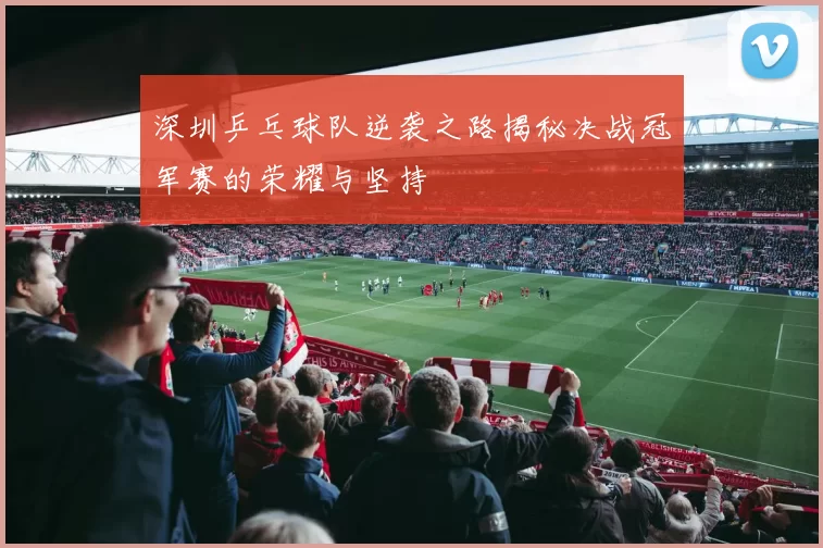 深圳乒乓球队逆袭之路揭秘决战冠军赛的荣耀与坚持