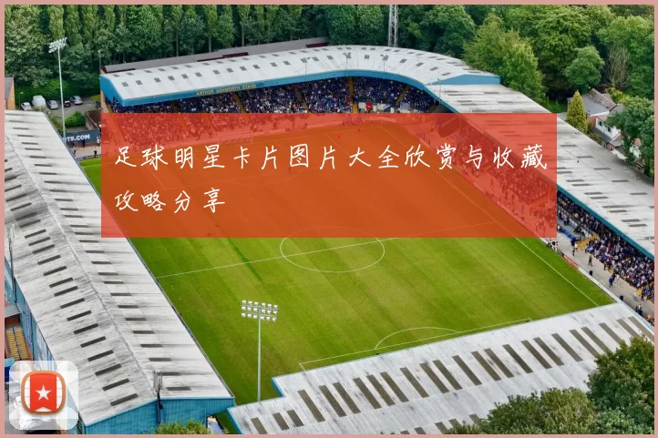 足球明星卡片图片大全欣赏与收藏攻略分享
