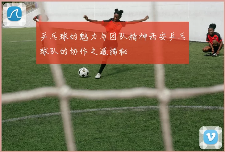 乒乓球的魅力与团队精神西安乒乓球队的协作之道揭秘