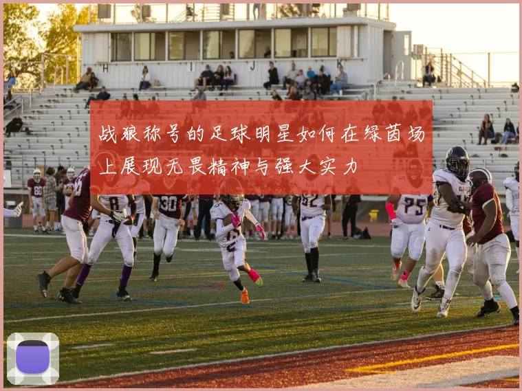 战狼称号的足球明星如何在绿茵场上展现无畏精神与强大实力
