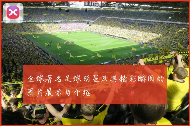 全球著名足球明星及其精彩瞬间的图片展示与介绍