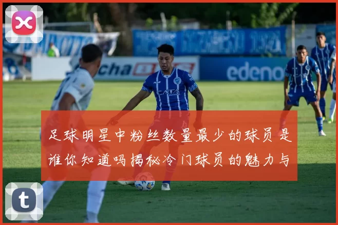 足球明星中粉丝数量最少的球员是谁你知道吗揭秘冷门球员的魅力与成就