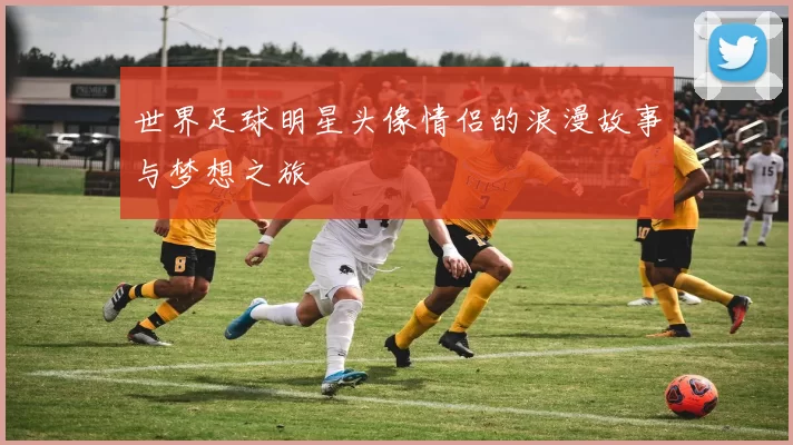 世界足球明星头像情侣的浪漫故事与梦想之旅