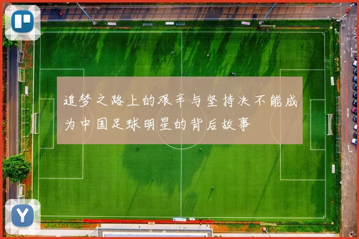 追梦之路上的艰辛与坚持决不能成为中国足球明星的背后故事