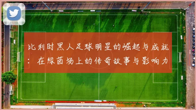 比利时黑人足球明星的崛起与成就：在绿茵场上的传奇故事与影响力