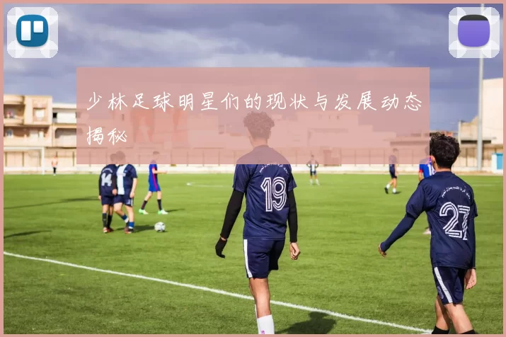 少林足球明星们的现状与发展动态揭秘