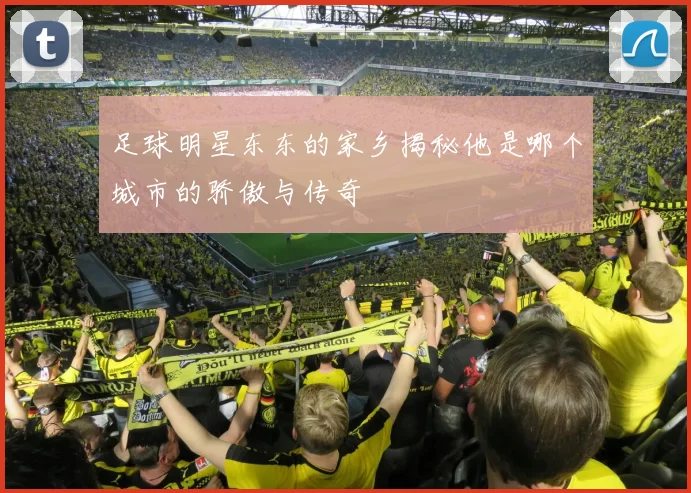 足球明星东东的家乡揭秘他是哪个城市的骄傲与传奇