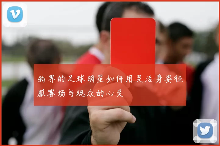 狗界的足球明星如何用灵活身姿征服赛场与观众的心灵