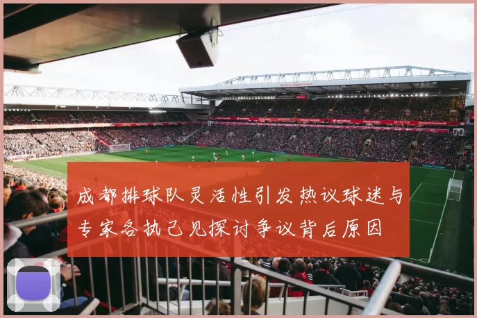 成都排球队灵活性引发热议球迷与专家各执己见探讨争议背后原因