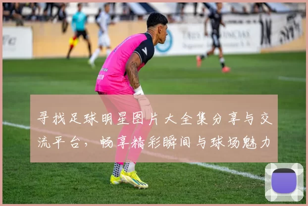寻找足球明星图片大全集分享与交流平台，畅享精彩瞬间与球场魅力