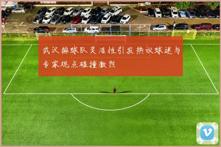 武汉排球队灵活性引发热议球迷与专家观点碰撞激烈