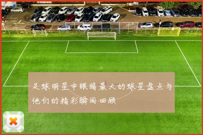 足球明星中眼睛最大的球星盘点与他们的精彩瞬间回顾