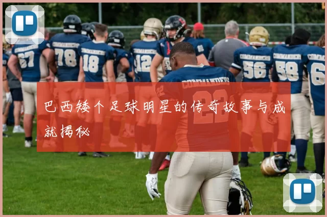 巴西矮个足球明星的传奇故事与成就揭秘