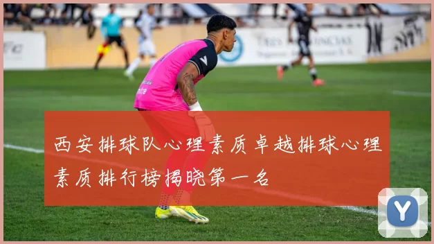 西安排球队心理素质卓越排球心理素质排行榜揭晓第一名