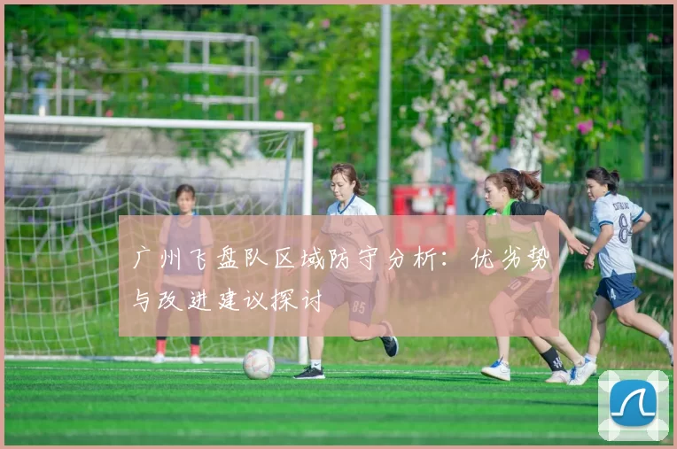 广州飞盘队区域防守分析：优劣势与改进建议探讨