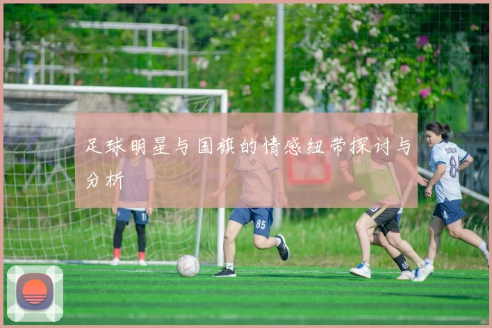 足球明星与国旗的情感纽带探讨与分析