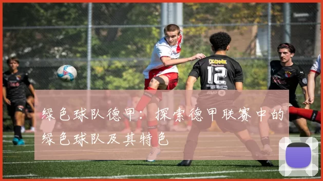 绿色球队德甲：探索德甲联赛中的绿色球队及其特色