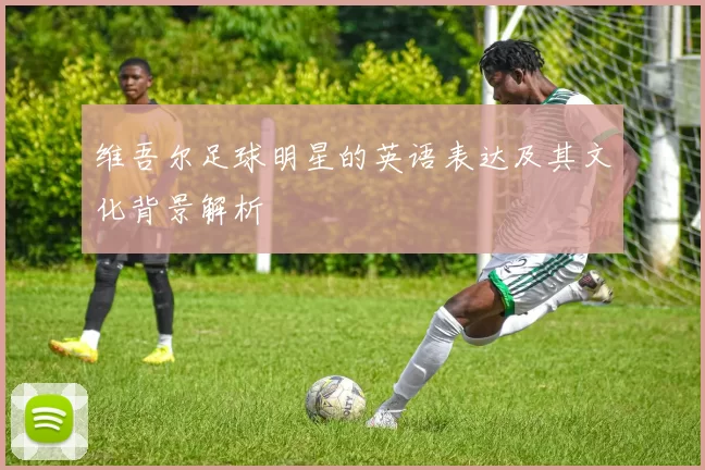 维吾尔足球明星的英语表达及其文化背景解析