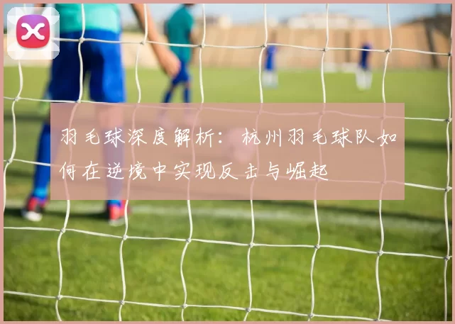 羽毛球深度解析：杭州羽毛球队如何在逆境中实现反击与崛起