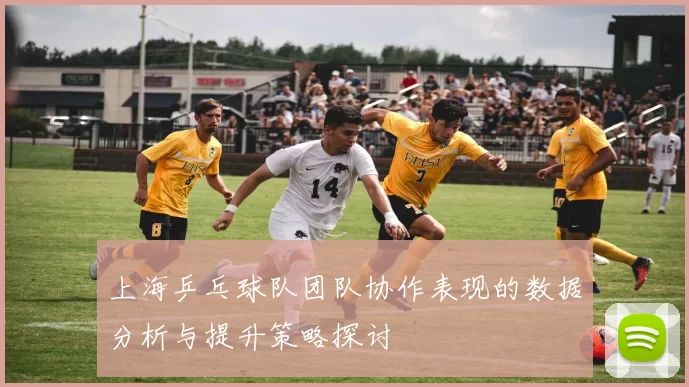 上海乒乓球队团队协作表现的数据分析与提升策略探讨