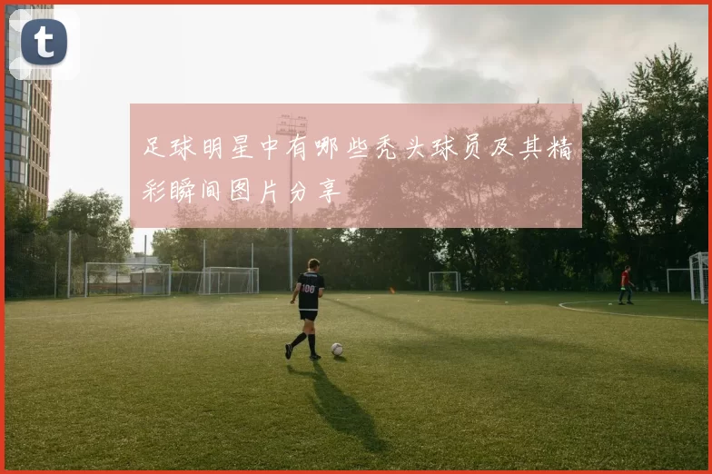 足球明星中有哪些秃头球员及其精彩瞬间图片分享