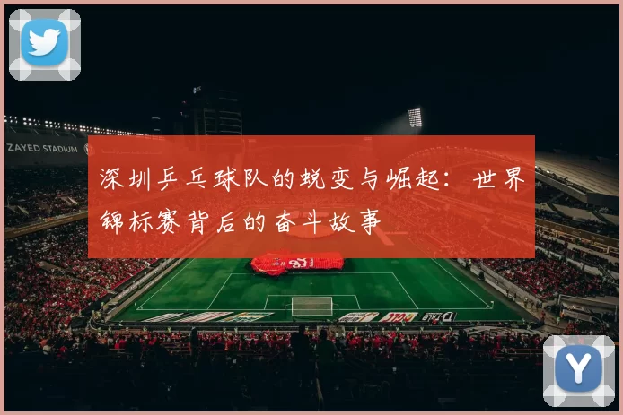 深圳乒乓球队的蜕变与崛起：世界锦标赛背后的奋斗故事